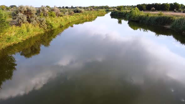 Beautiful river with green reed on the shore