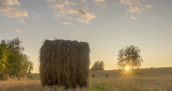 Flat Hill Meadow Timelapse at the Summer Sunset Time