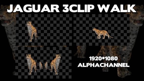 Jaguar 3 Clip Walk Pack alt