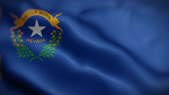 Nevada State Flag Front