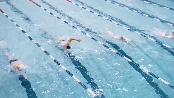 Top View Four Professional Swimmer Floating on Track in Swimming Pool Performing Crawl Style