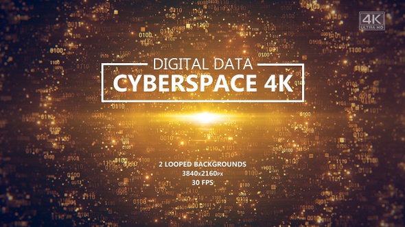 Digital Data - Cyberspace