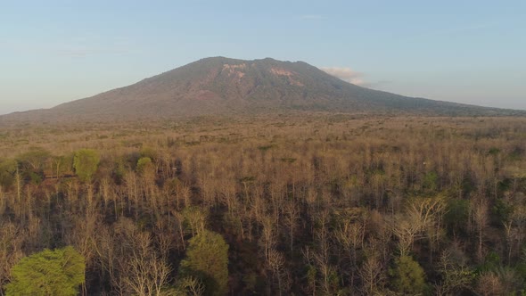 Tropical Landscape with Mountain Indonesia