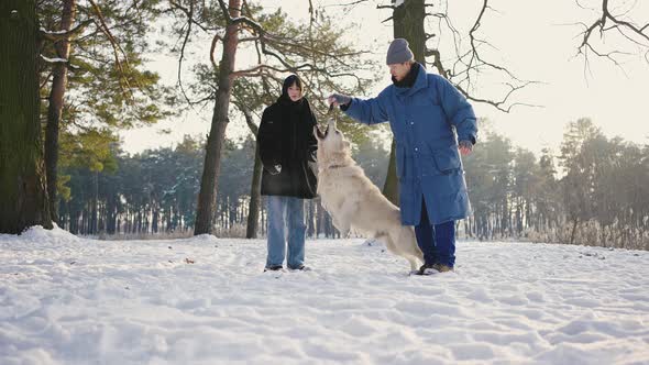 Close Up Man and Woman Have Fun with Their Dog Retriever in Winter Forest Playing and Throwing Stick