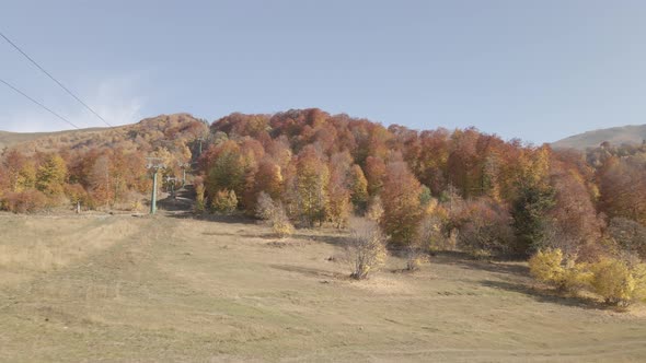 Flying over beautiful mountains in Bakuriani. Aerial view of Autumnal forest. Georgia