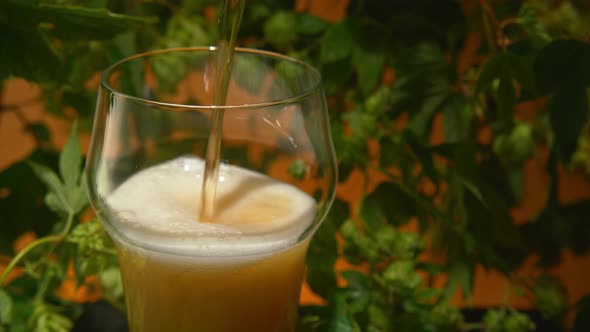 beer pouring into pinta glass