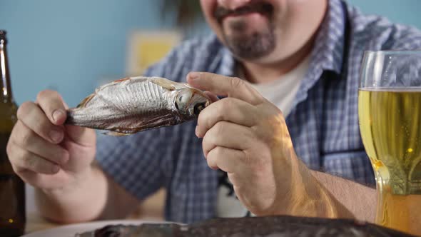 Adult Man with a Beard Holds Dried Fish in His Hands While He Drinks Beer in a Glass While Relaxing