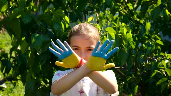 The Ukrainian Flag is Drawn on the Child Hands