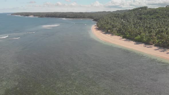 aerial drone view of paradise island of siargao in the philippines. clear turquoise water, palm tree