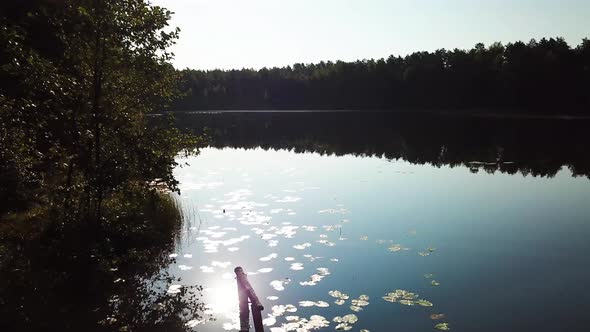 Morning In A Pine Forest