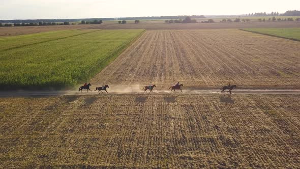 Ukrainian Cossacks Ride Horses on the Field