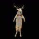 55 Deer Dancing HD - VideoHive Item for Sale
