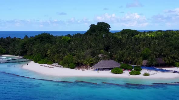 Drone aerial scenery of tropical lagoon beach wildlife by blue ocean and sand background