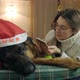 Young Woman Spend Christmas Holidays at Home with Her Pet on the Bed with Phone - VideoHive Item for Sale