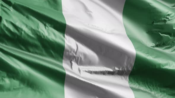 Nigeria flag waving on the wind. 10 seconds loop.