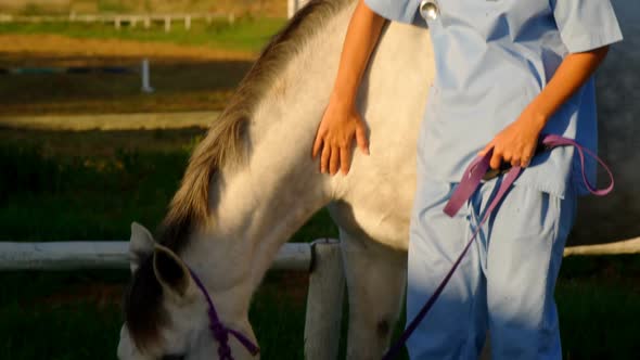 Veterinarian doctor standing with horse