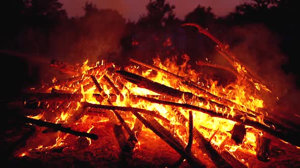 Big Campfire of the Logs Burns at Night in the Forest. Slow Motion in 180 Fps