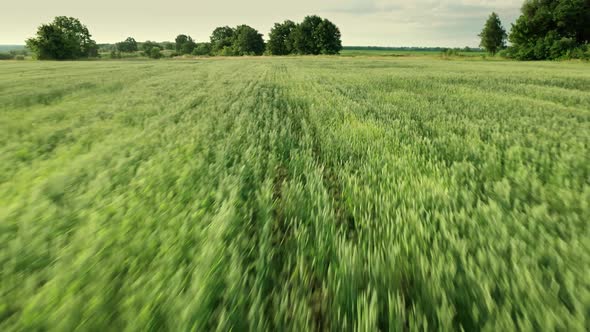 Countryside Agriculture