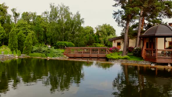 Garden Park Pond with Ducks