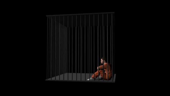 Prisoner in the Cage