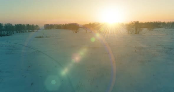 Aerial Drone View of Cold Winter Landscape with Arctic Field Trees Covered with Frost Snow