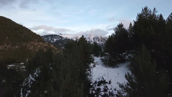 Smooth reveling drone behind trees in Andorra, with the last rays of sun, with the sky full of cloud