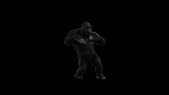 Realistic Gorilla Loop Dance