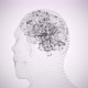 Abstract Human Head with Brains Spinning Animation Background - VideoHive Item for Sale