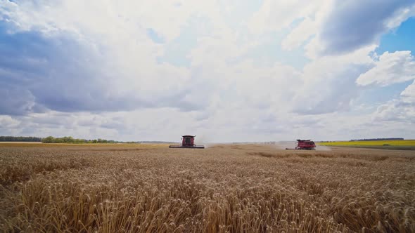 Grain harvesting equipment in the field. Harvesting season