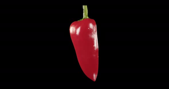 Red Pepper. Alpha Channel. Rotation