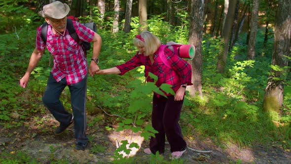 Senior Woman on Hikinig Adventure Trip Holding Mans Hand Helping Her Climb on Mountain Hill in Wood