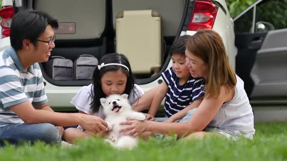 Family Playing With Siberian Husky Puppy In The Park