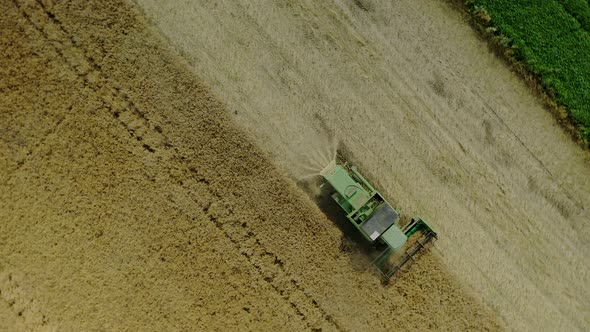 . Combine harvester agricultural machine collecting golden ripe wheat on the field. View from above.