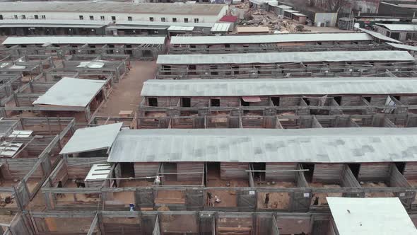 Homeless Stray Dog Shelter. Aerial View