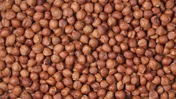 Brown Hazelnuts Fall on a Pile of Peeled Nuts