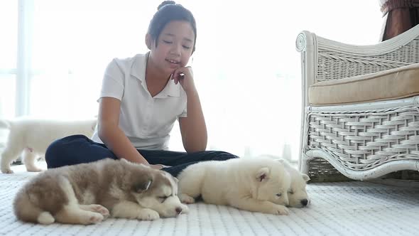 Cute Asian Girl Playing With Siberian Husky Puppies In A Room