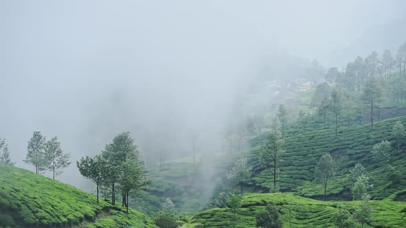 Clouds of mist rolling over the green landscape of Munnar, India - time lapse