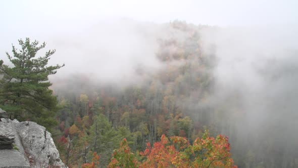 smokey mountains in NC