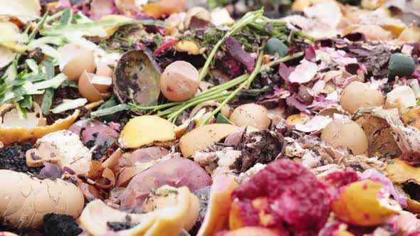 Organic Food Waste Compost Heap