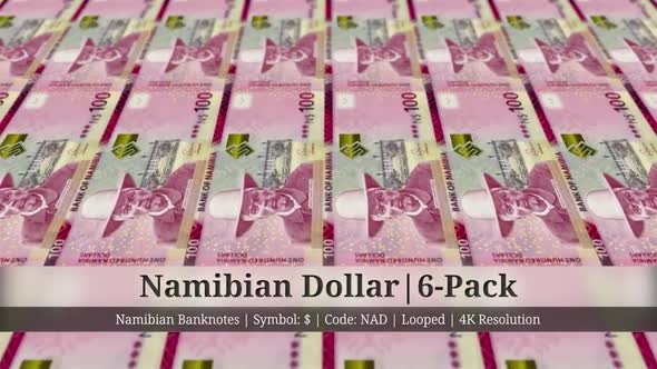 Namibian Dollar | Namibia Currency - 6 Pack | 4K Resolution | Looped