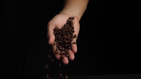 Man Hand Holding Roasted Coffee Beans