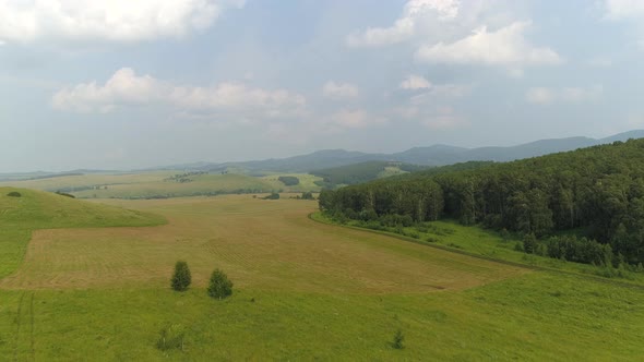 Aerial View at Summer Landscape 