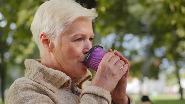 Beautiful Grayhaired Elderly Grandmother Drinking Tea or Coffee with Pleasure