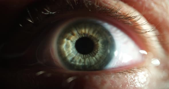 Closeup of Green Female Eye with Contact Lens  Movie