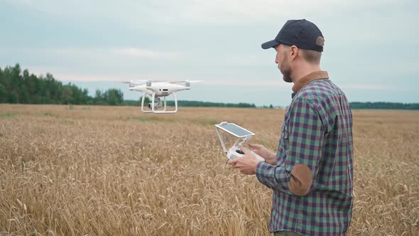 Countryside Man Farmer Control the Quadcopter While Standing in the Field of Rye Ecologist Analyzes