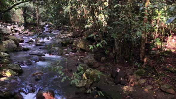 Smooth pan shot, fast flowing creek, Natural Bridge Waterfall Springbrook, Queensland