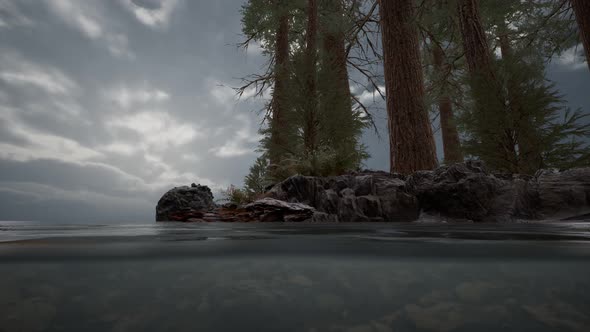 Half Underwater in Northern Sea with Rocks alt