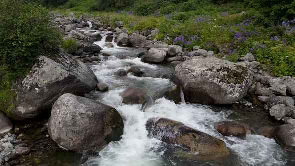 Stream And Flowers