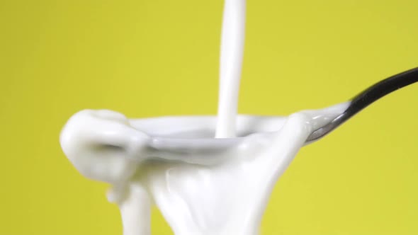 Pouring fresh milk into a metal spoon. On a bright colored yellow background