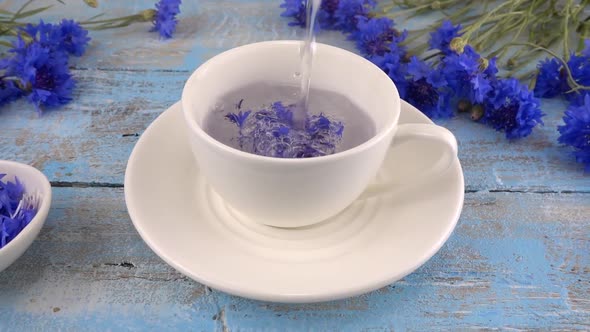 Brewing a tisanes from knapweeds flowers in white cup.